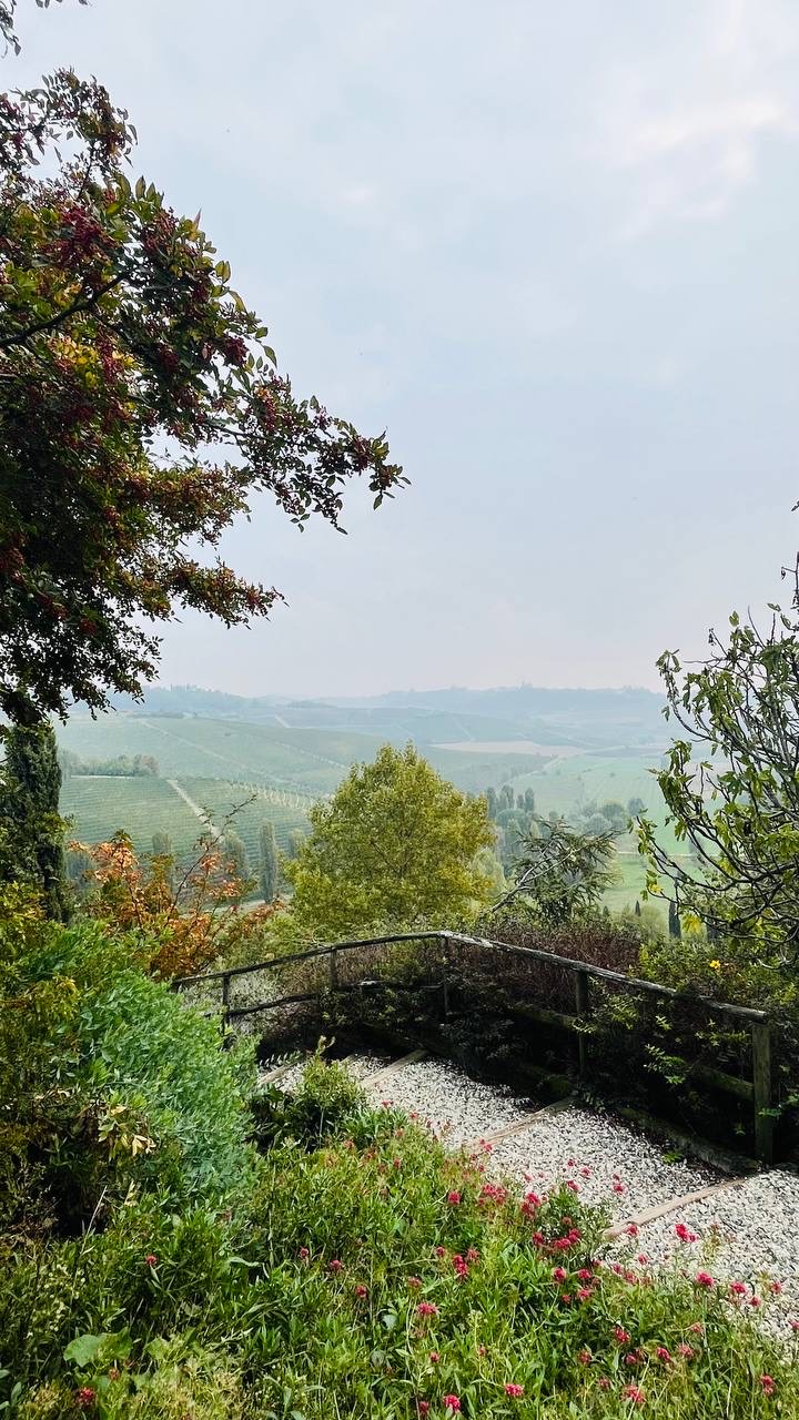 Mirante florido com vista para os vinhedos na neblina