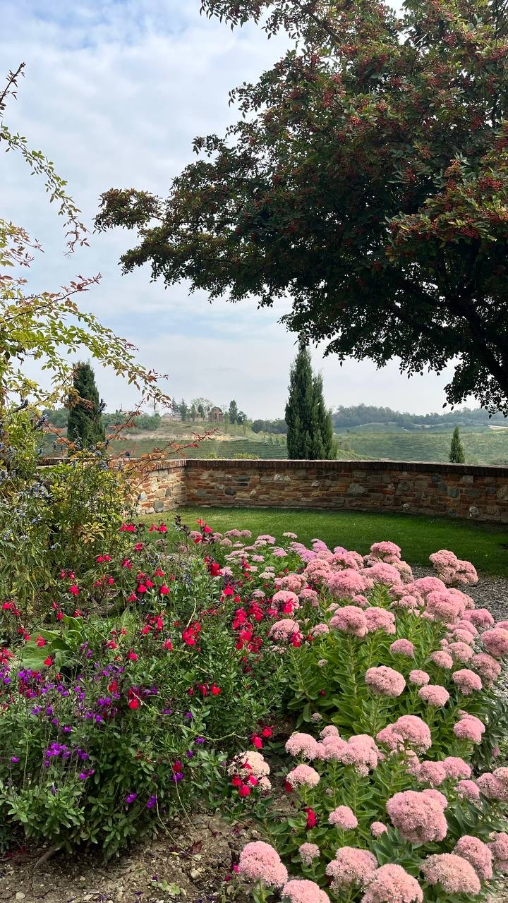 Jardim florido com muro de tijolos e cipreste