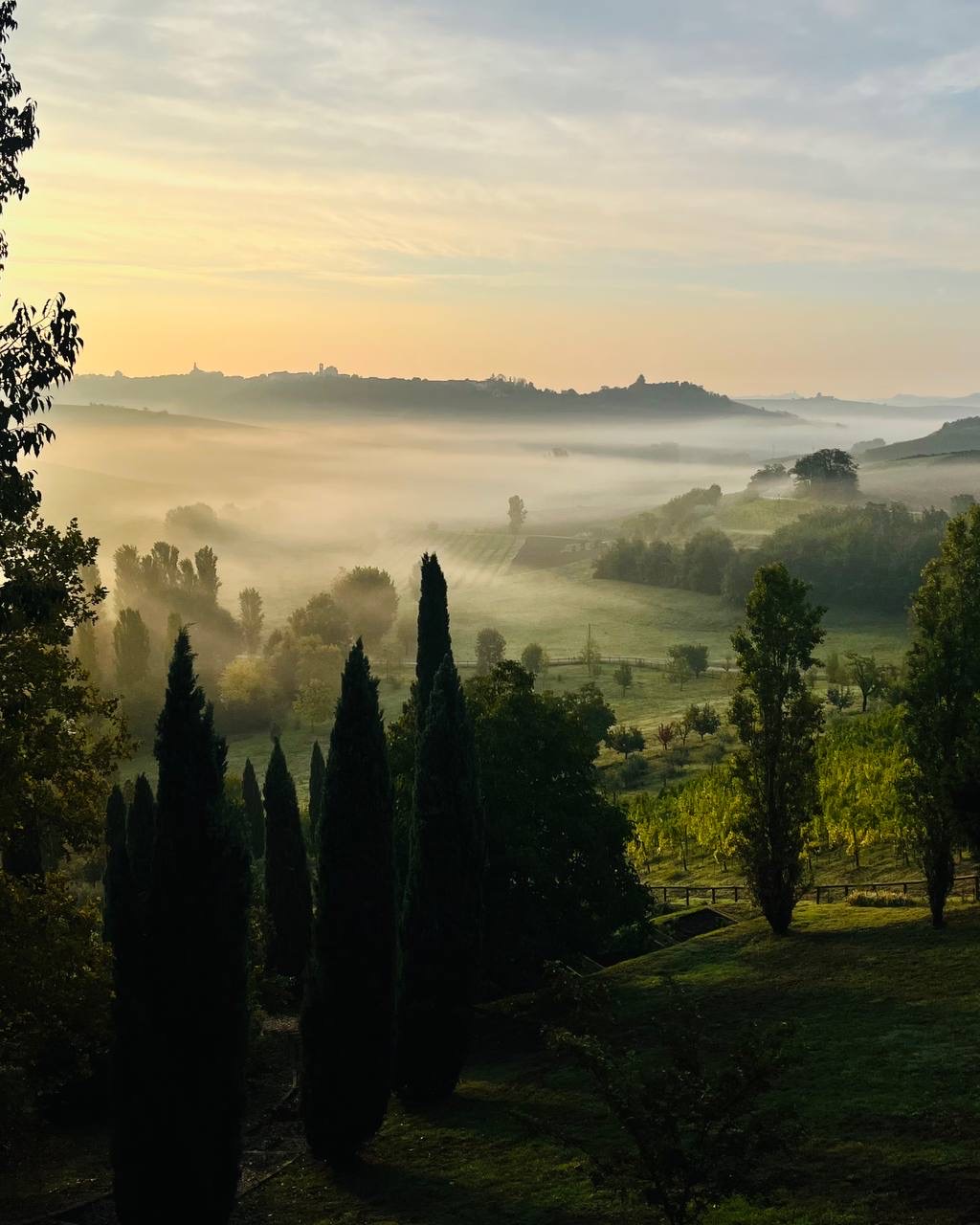 Amanhecer no Monferrato, neblina no vale e ciprestes em primeiro plano
