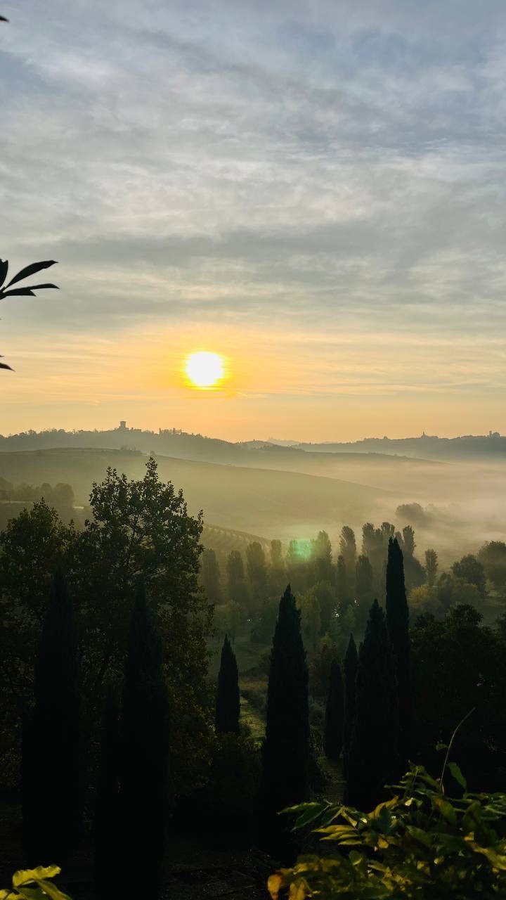 O sol nascendo sobre a neblina nas colinas do Monferrato