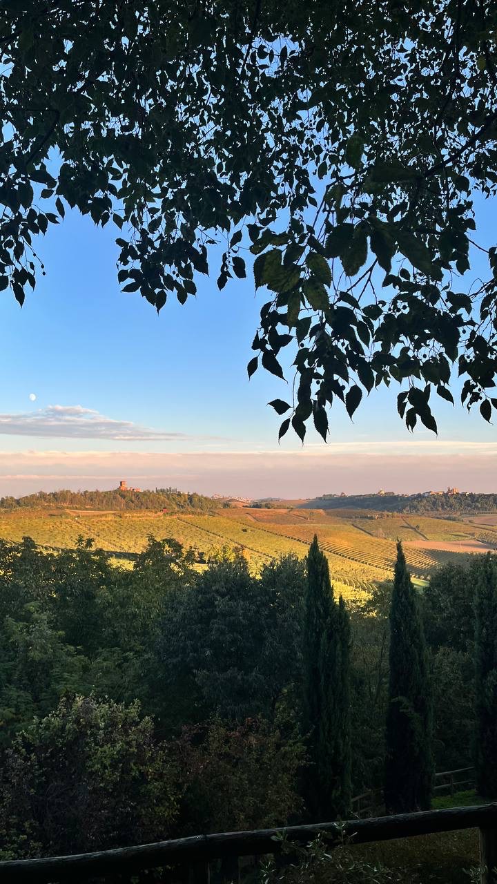 Vinhedos dourados ao pôr do sol com um castelo na colina
