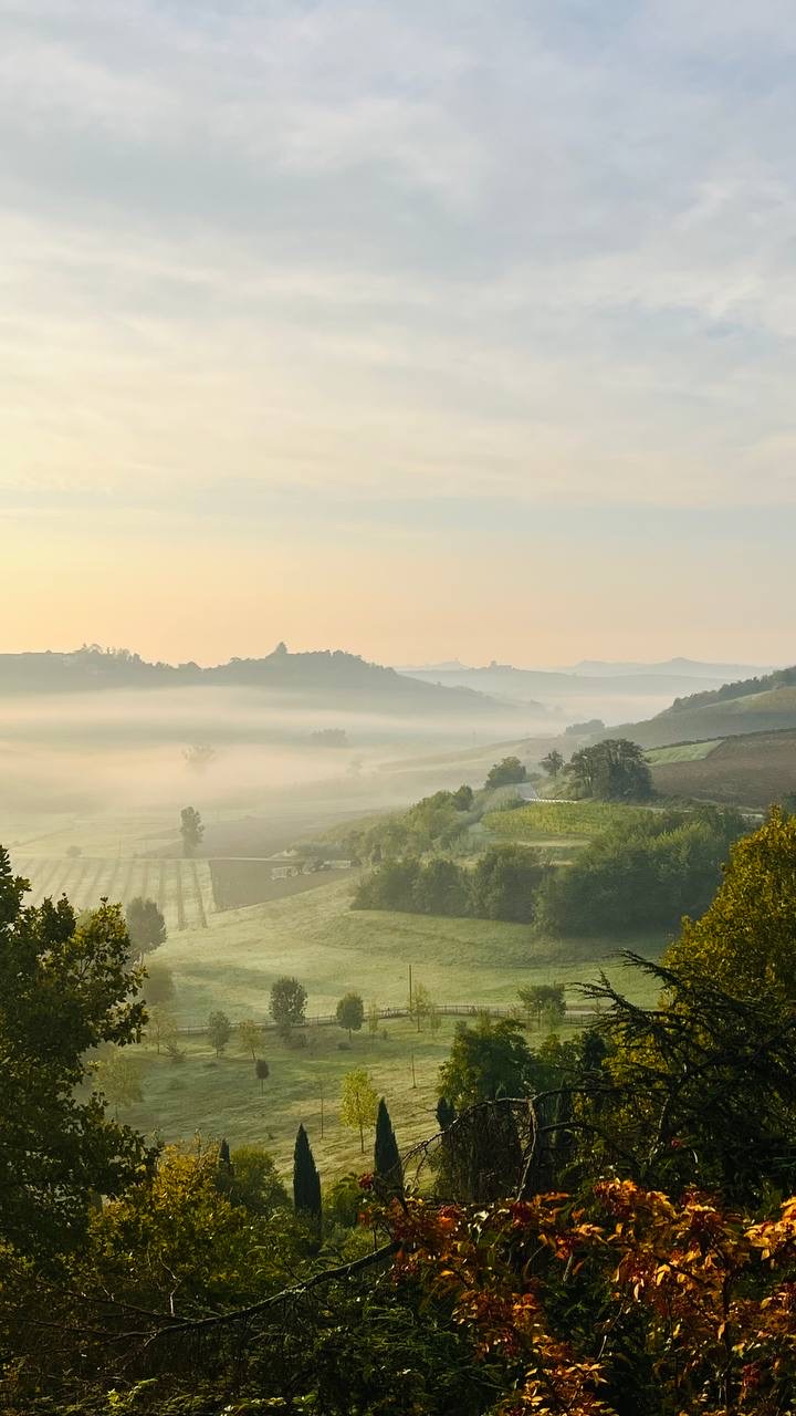 Vale na neblina da manhã com cores de outono